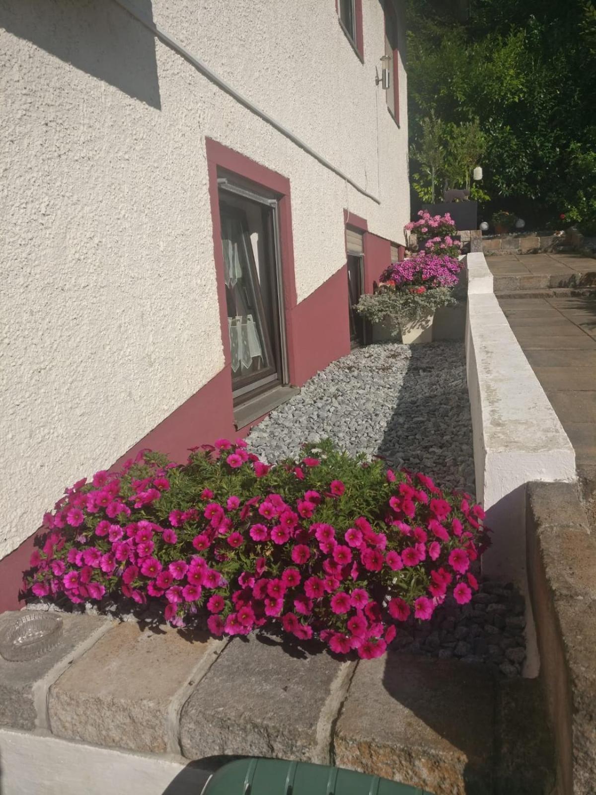 Apartment In Behringersmühle Goessweinstein