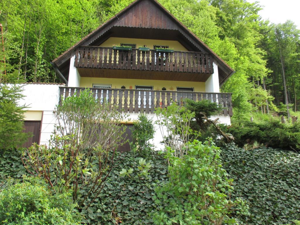 In Behringersmühle Apartment Goessweinstein